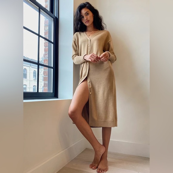 Wilfred Dresses & Skirts - Aritzia Wilfred Utopia Button Down Dress